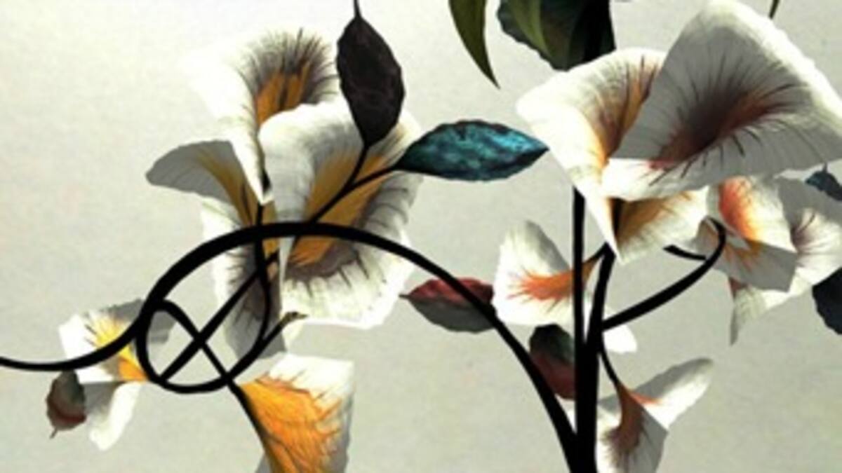 En fotos: las flores que crecen en una computadora