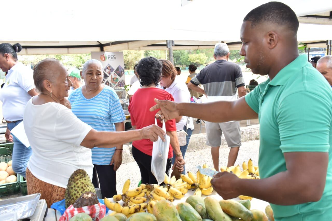 Gran mercado en Bruselas este sábado para celebrar el Día del Campesino en Cartagena
