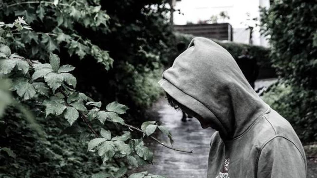 Informe salud mental, Armenia