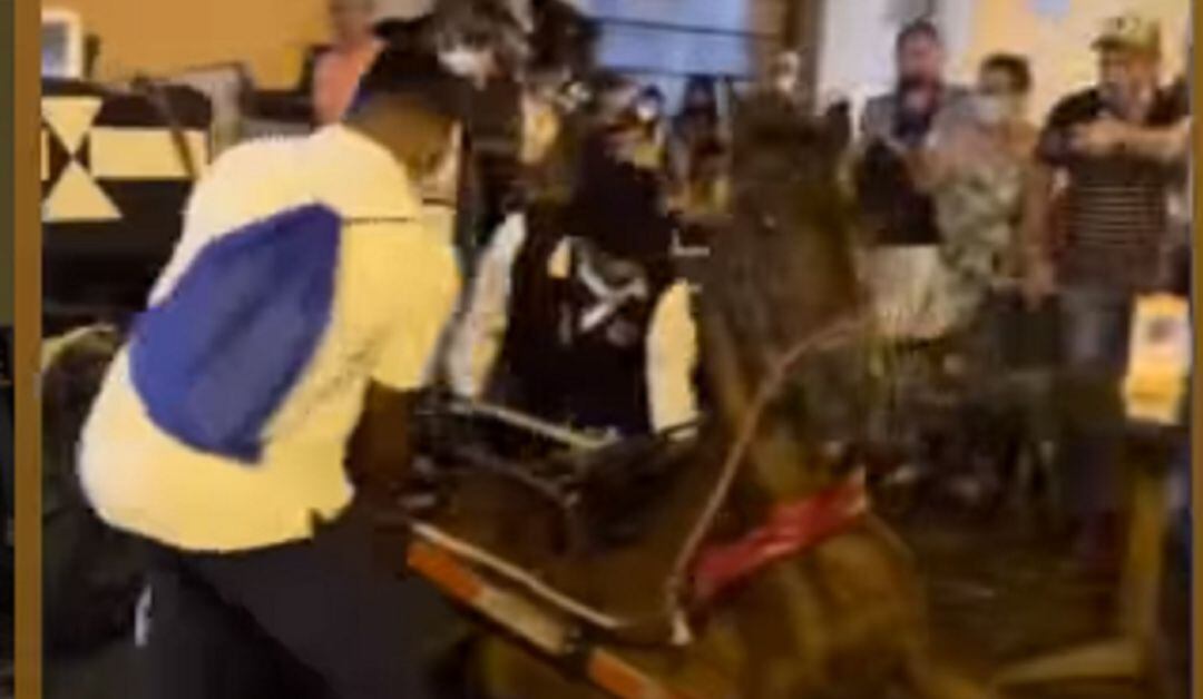 ¡No más maltrato! Vaki de Riaño para quitar coches de caballos en Cartagena