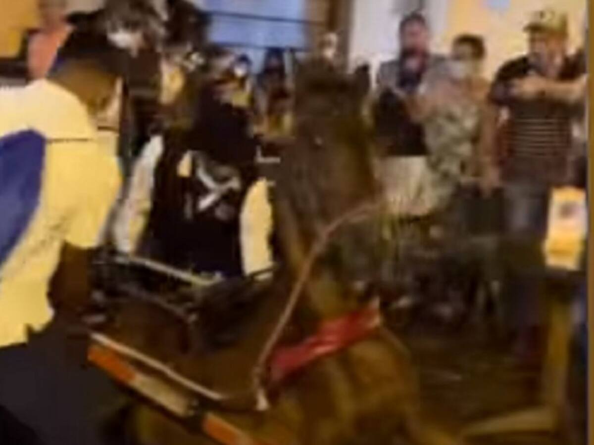 ¡No más maltrato! Vaki de Riaño para quitar coches de caballos en Cartagena