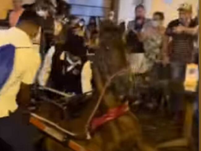 ¡No más maltrato! Vaki de Riaño para quitar coches de caballos en Cartagena