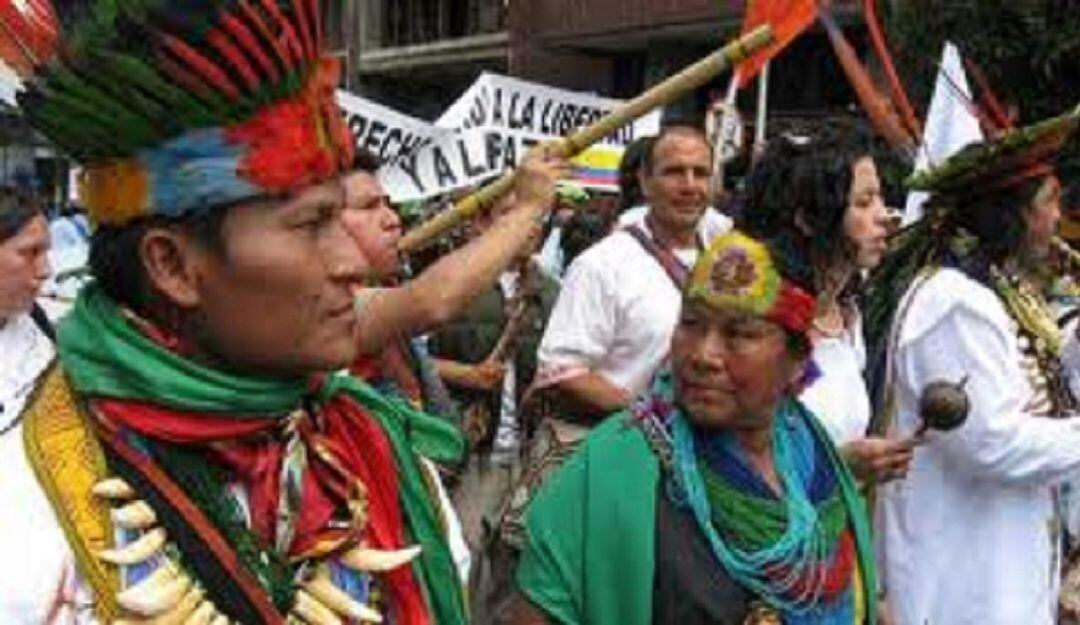 Imagen de referencia.