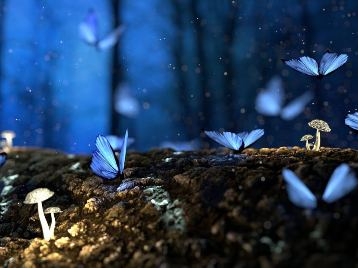 Muzo conmemorará 30 años del Acuerdo de Paz que puso fin a la Guerra Verde