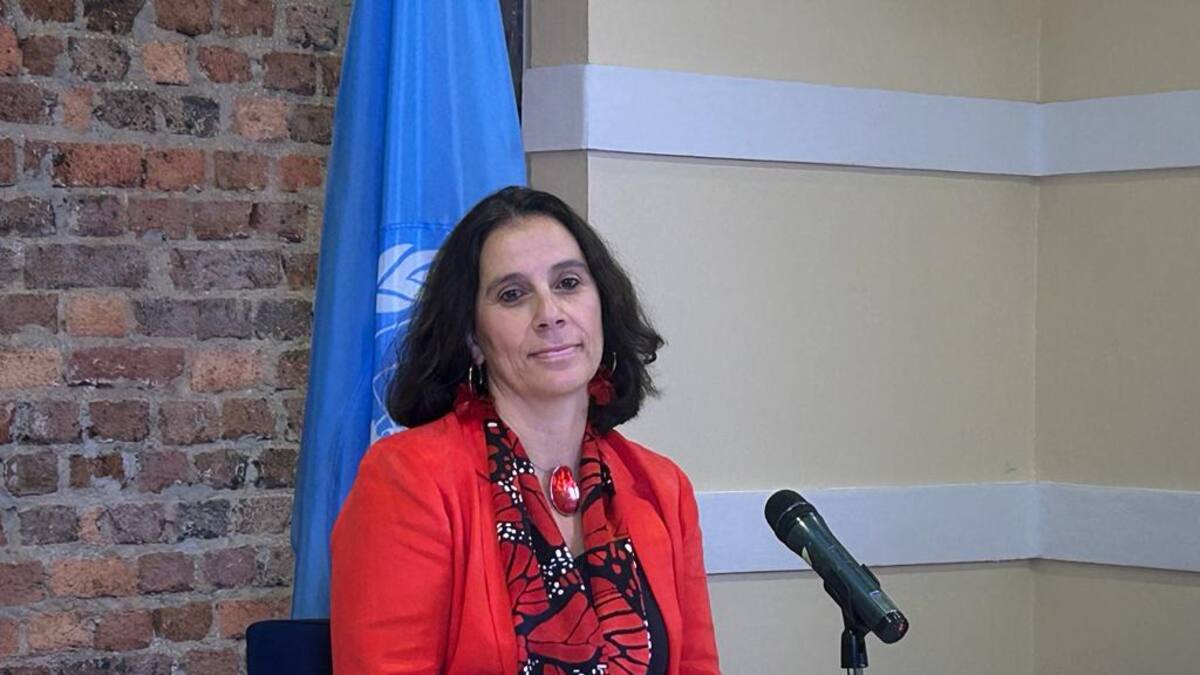 En diciembre experta de la ONU dará informe sobre caso Santrich en JEP y trabas a la paz