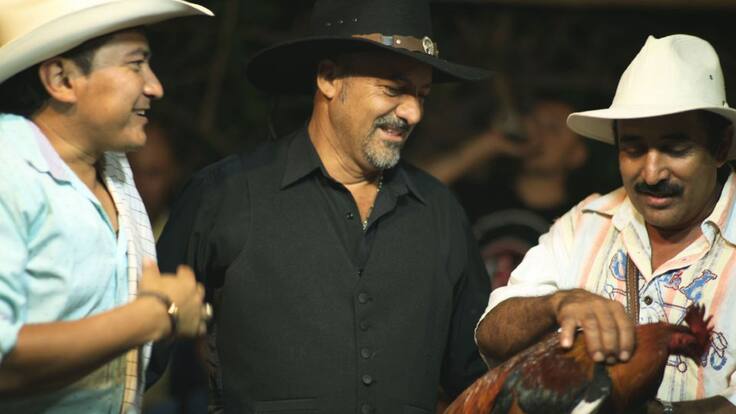 senadora Andrea Padilla