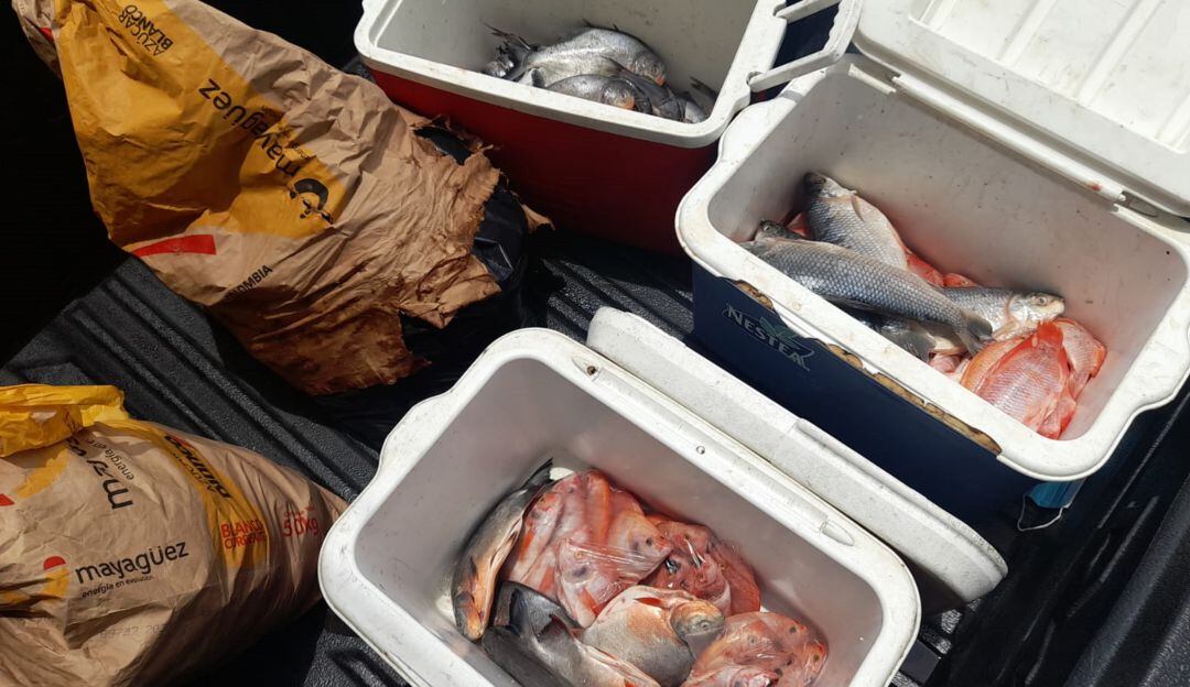 Alcaldía de Rionegro