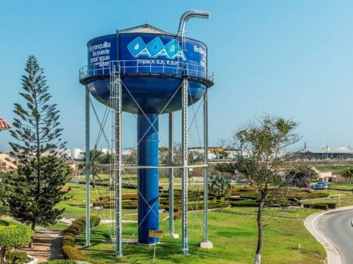 "Nos interesa tener mayor participación en Triple A": Distrito