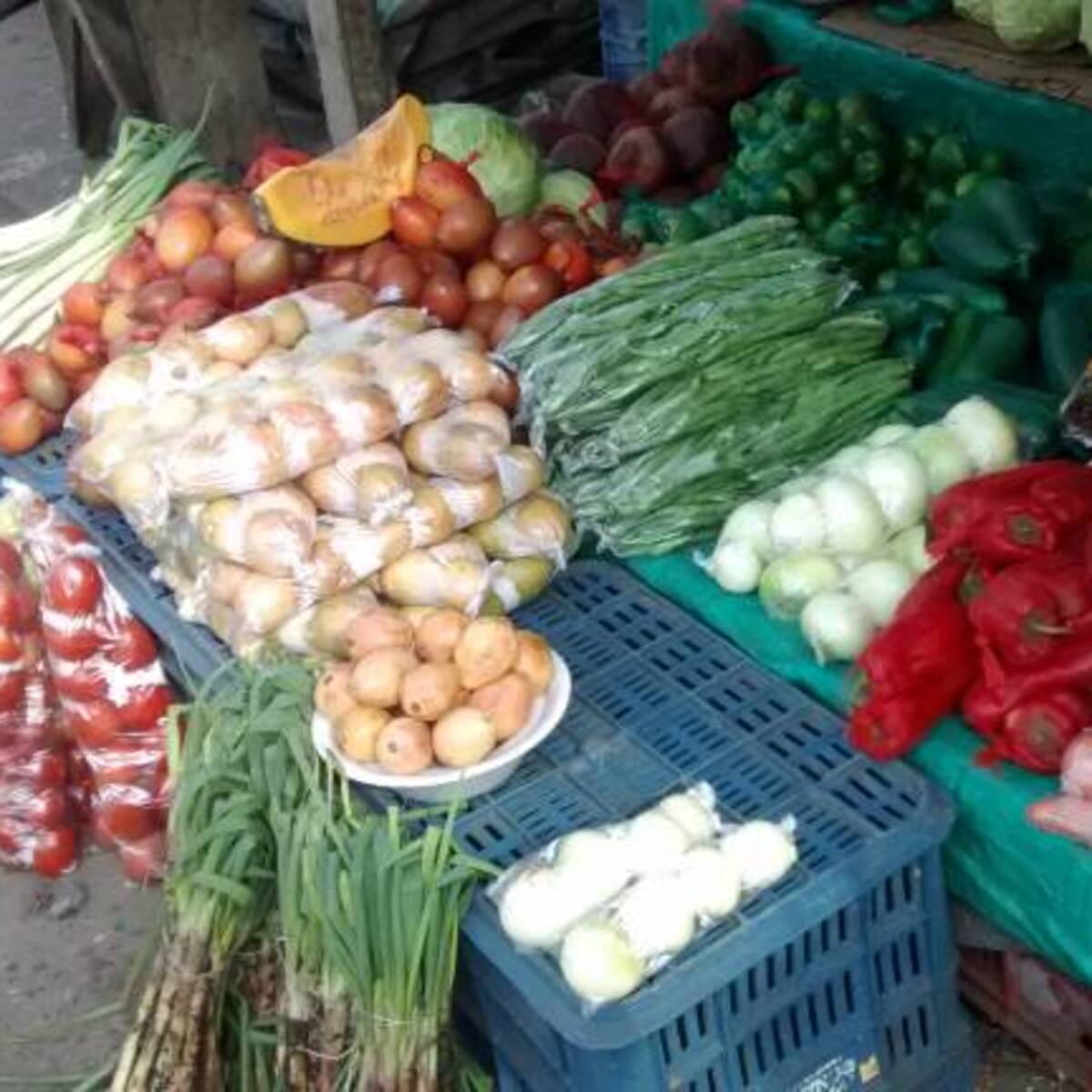 Productores de Caldas temen que las lluvias generen derrumbes