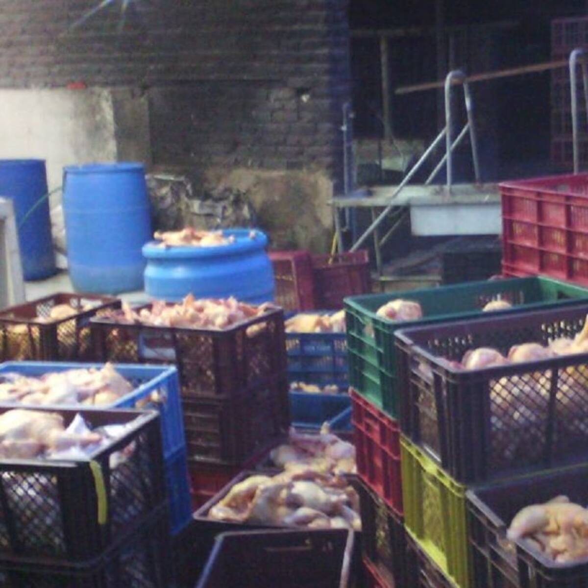 Banco de alimentos arquidiocesano atenderá a 72 mil familias antioqueñas