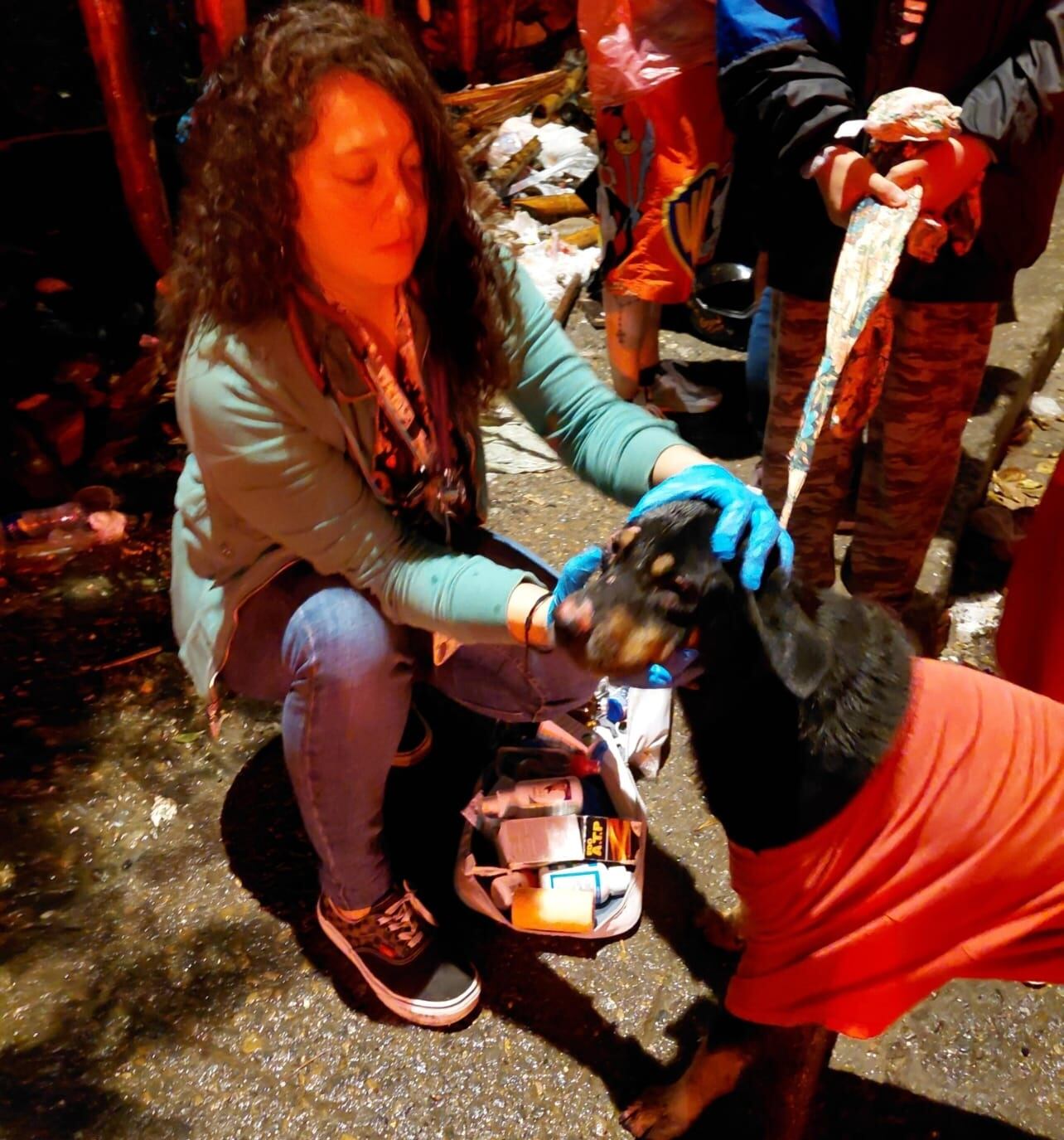 Atención a perritos afectados por incendio en Armenia. Foto:Cortesía Alcaldía de Armenia