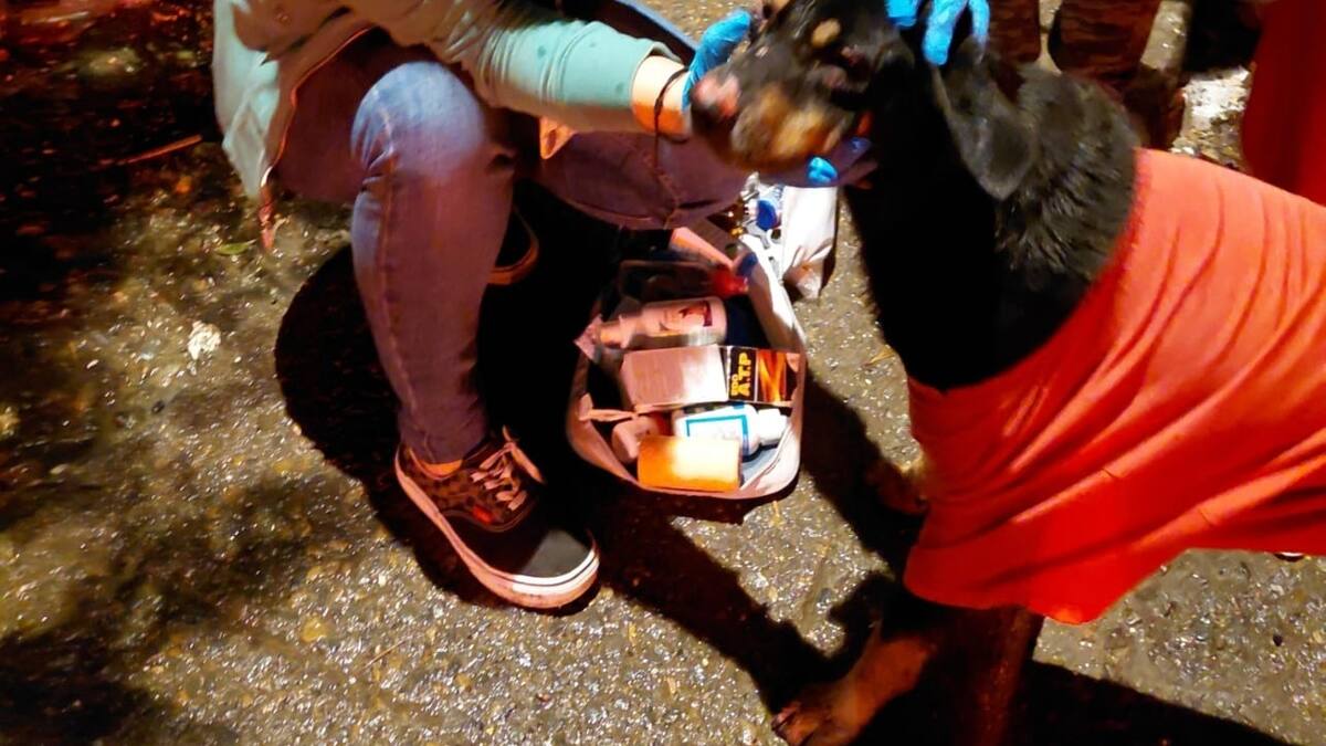 Lunes 2 de febrero, las noticias más importantes de Armenia y Quindío