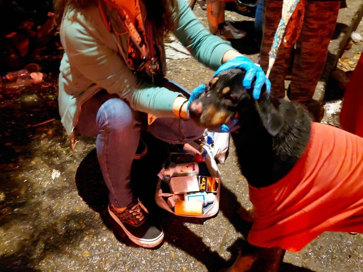 Lunes 2 de febrero, las noticias más importantes de Armenia y Quindío