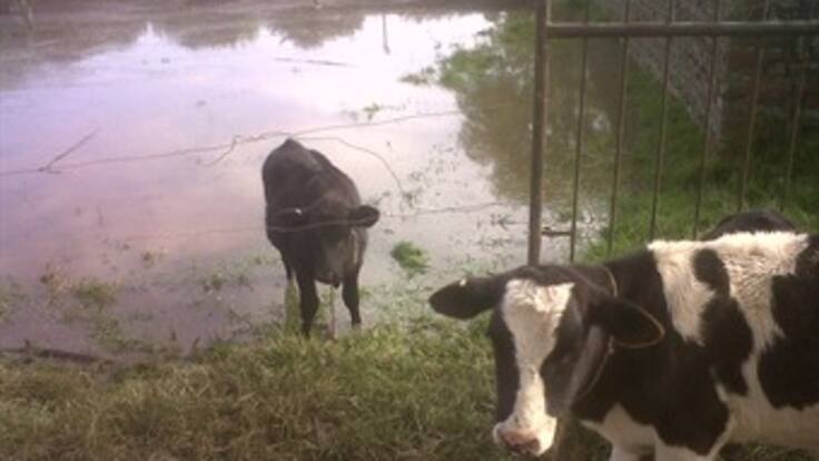 Más de dos mil hectáreas afectadas por inundaciones en Mosquera