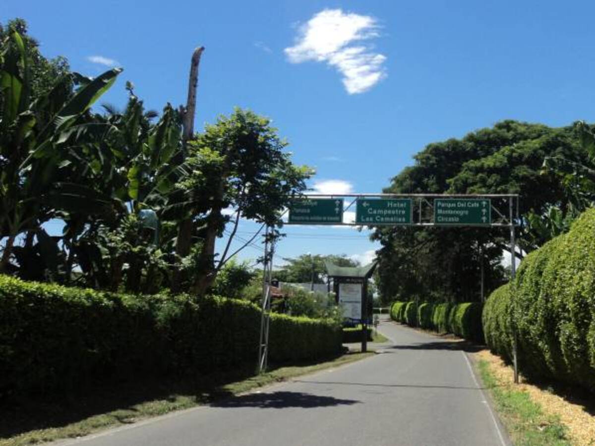 Frenados proyectos turísticos en Quindío por demanda de procuraduría sobre terrenos