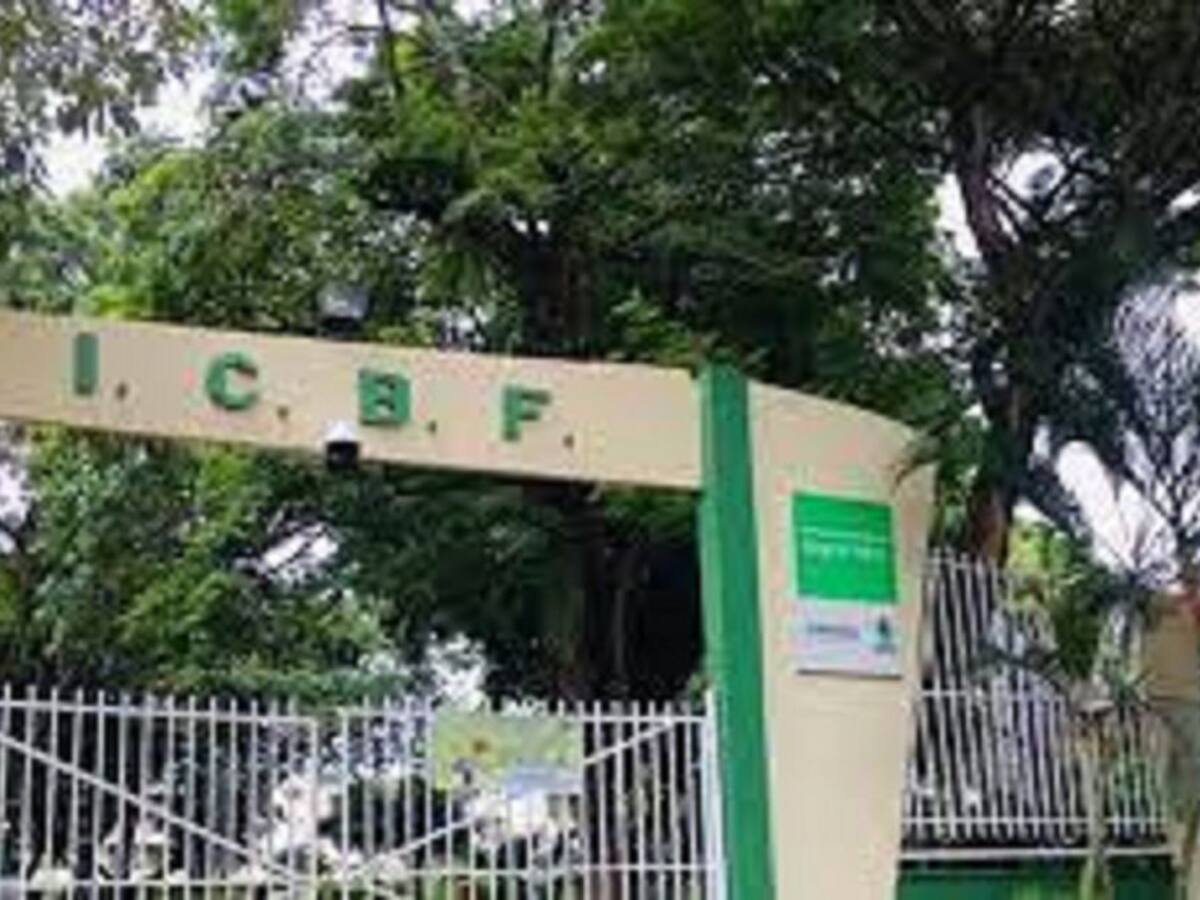 Madres sustitutas del ICBF en Ibagué denuncian falta de pagos