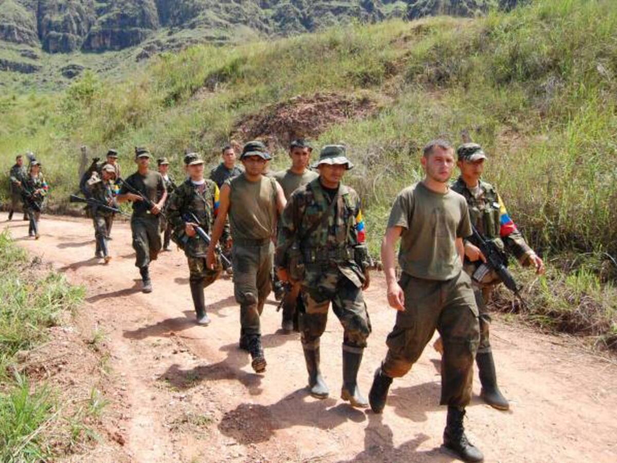 "Aumentaron las áreas deforestadas en las zonas que dejaron las Farc": Contralor General