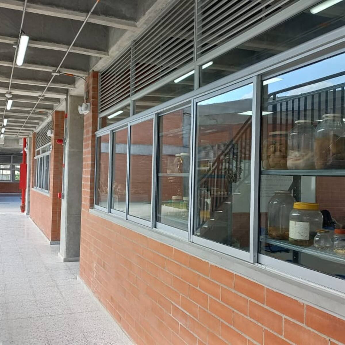 Autoridades registran 700 denuncias por violencia sexual a menores en Bogotá