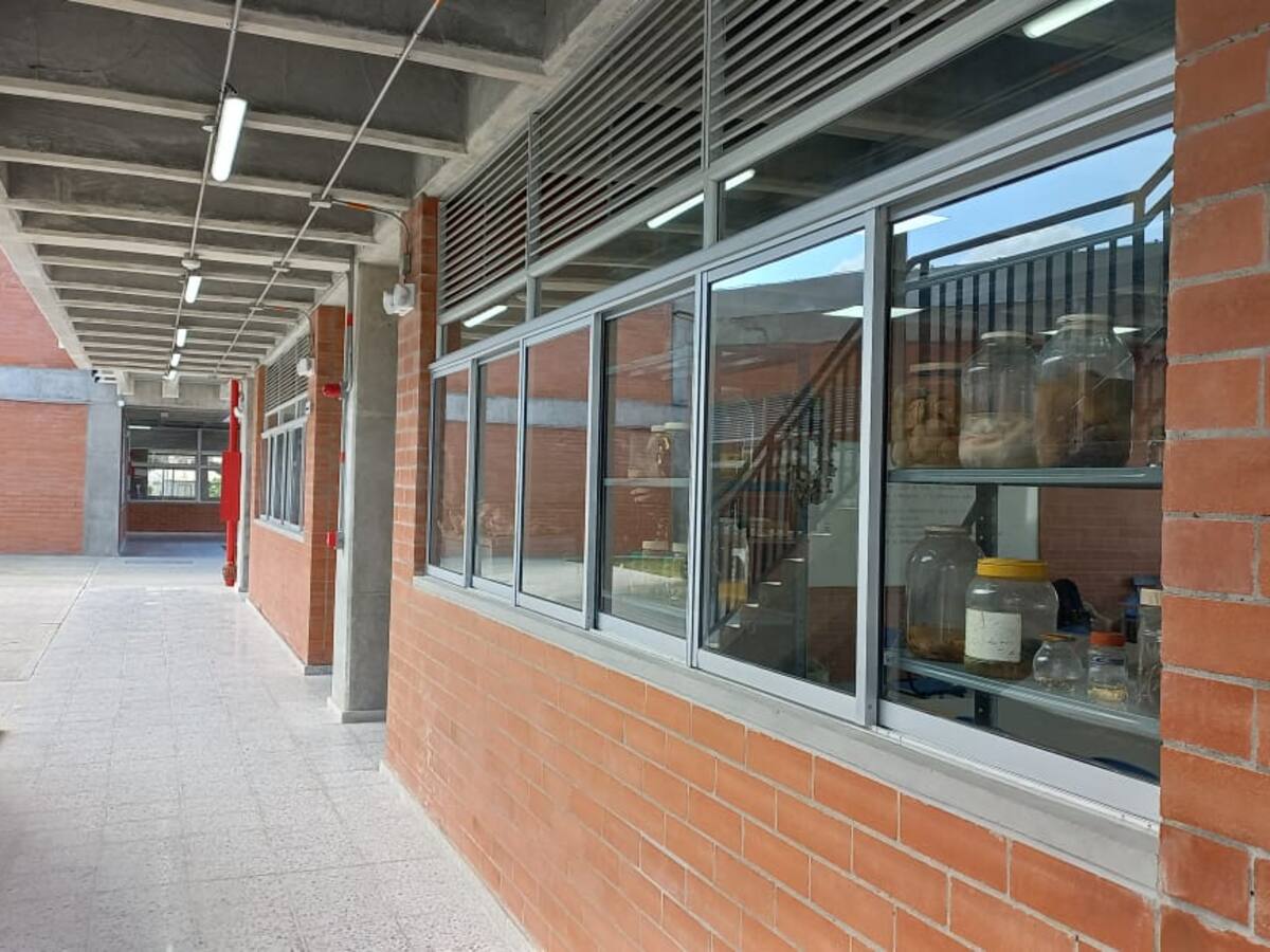 Autoridades registran 700 denuncias por violencia sexual a menores en Bogotá