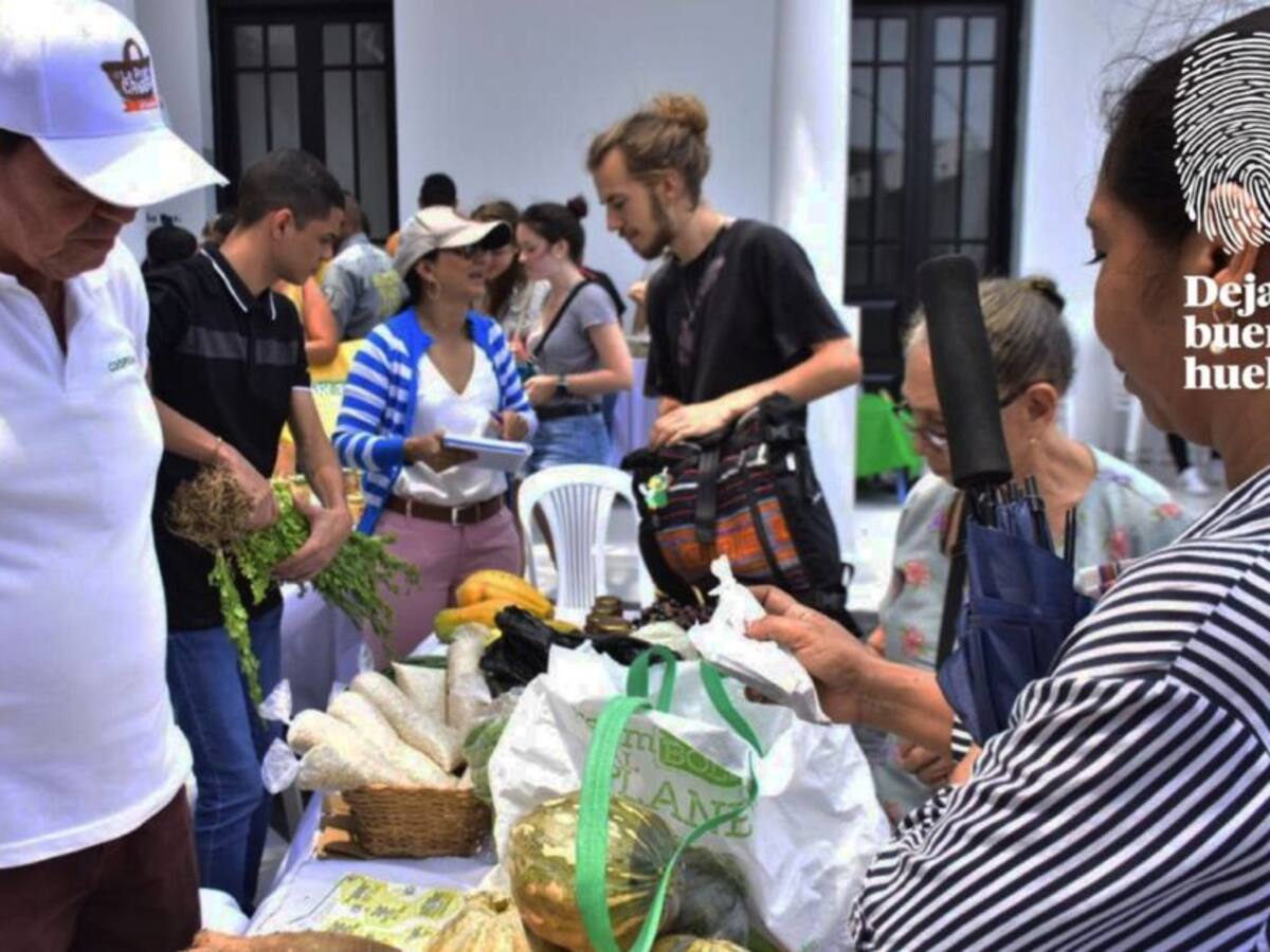 La Propia Canasta: Proyecto que Deja Buena Huella