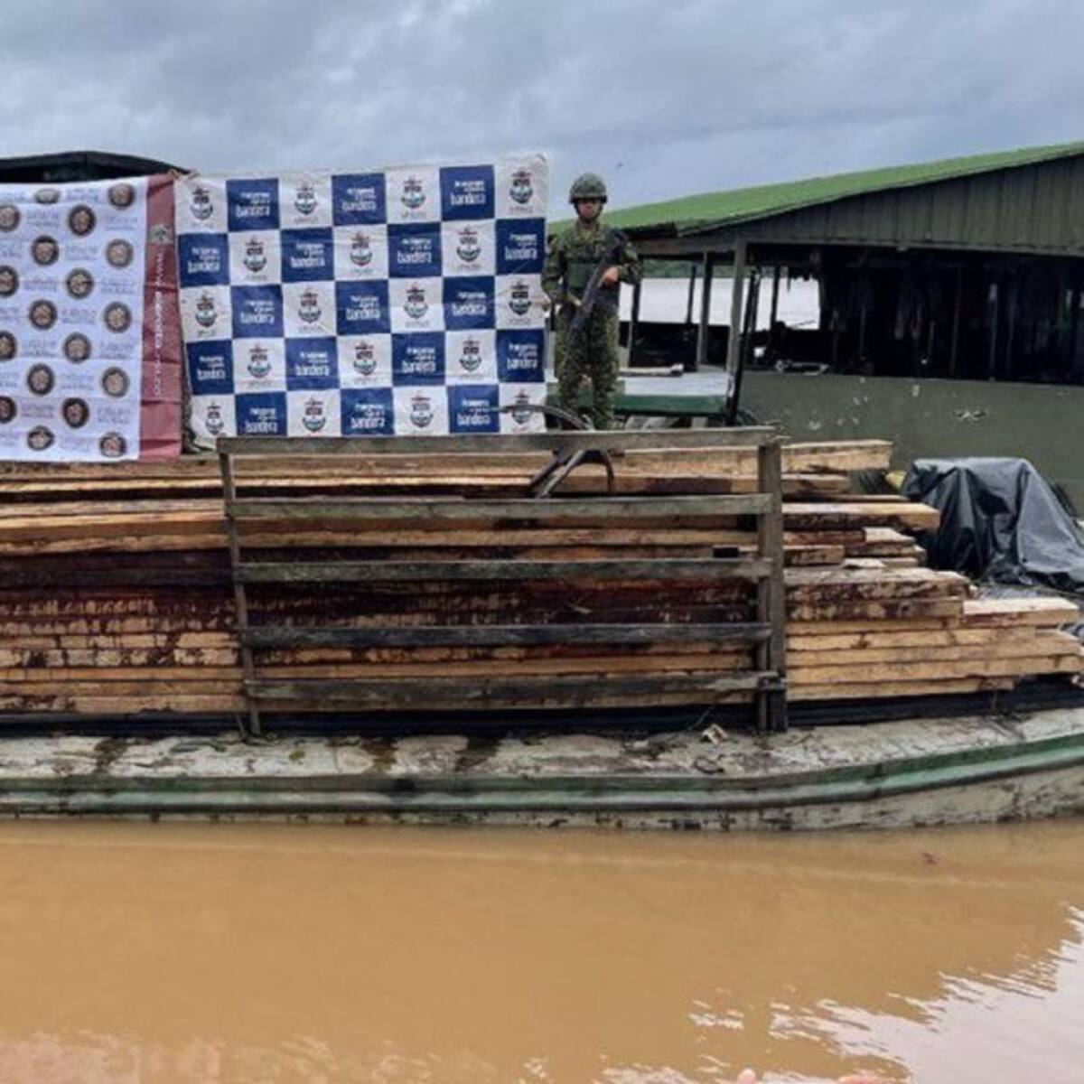 Más de 3.150 piezas de madera de bosque nativo se incautaron en Putumayo