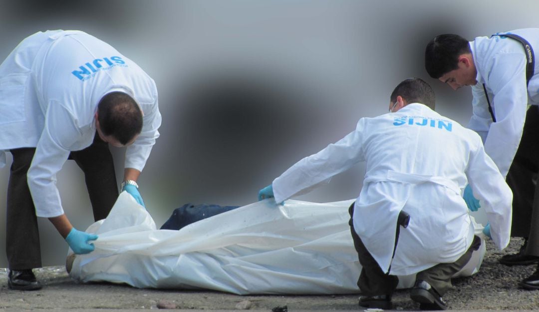 Inspección a cadaver - Referencia