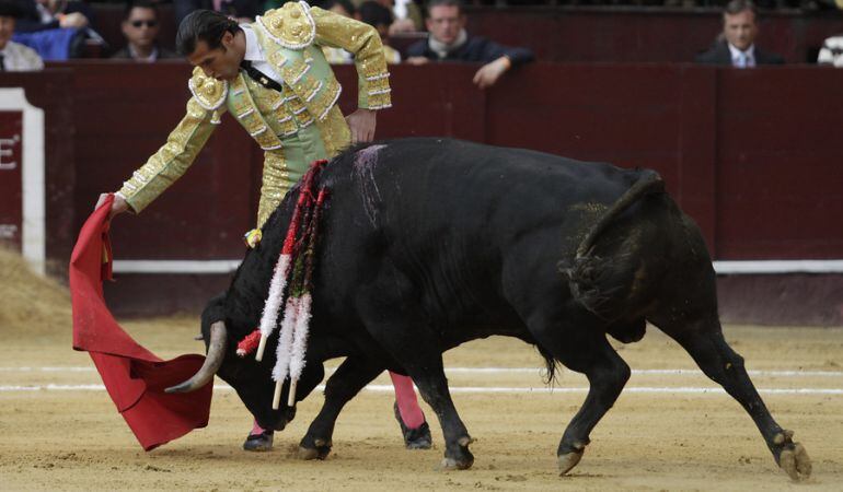 Consulta popular antitaurina