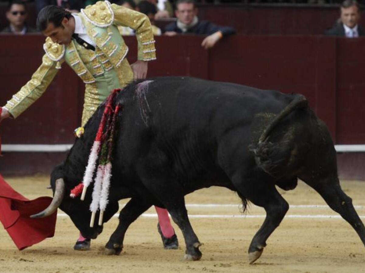 Corporación taurina presentará tutela contra consulta popular antitaurina