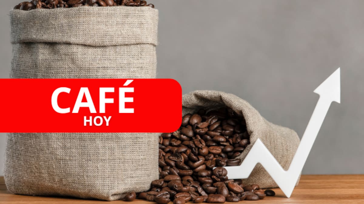 ¿Continúa subiendo? Precio café HOY 22 de julio: valor oficial FNC carga de 125 kg