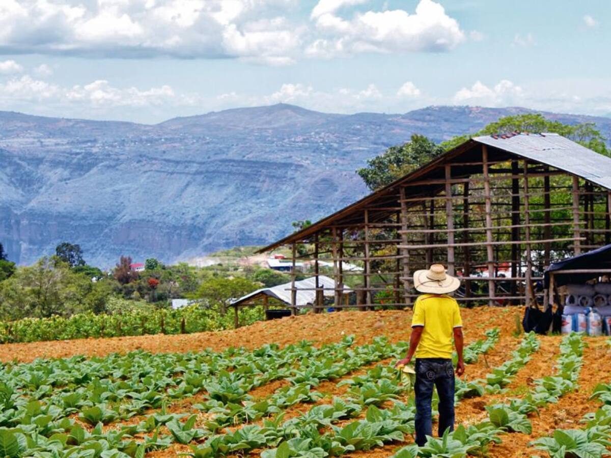 Otra tabacalera se aleja de Santander