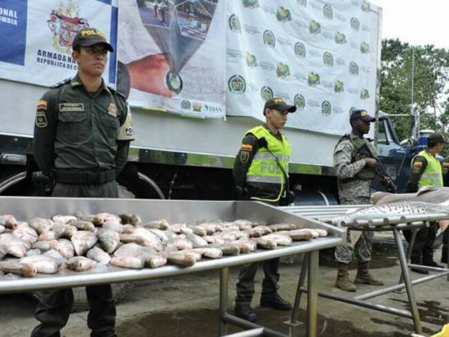 Por mala higiene se decomisan 1.500 kilos de pescado en Arauca