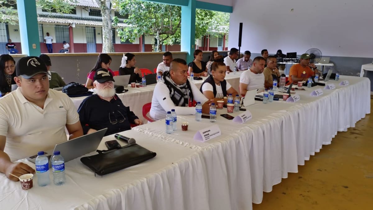 ¿Hay división en el Estado Mayor Central de las Farc?