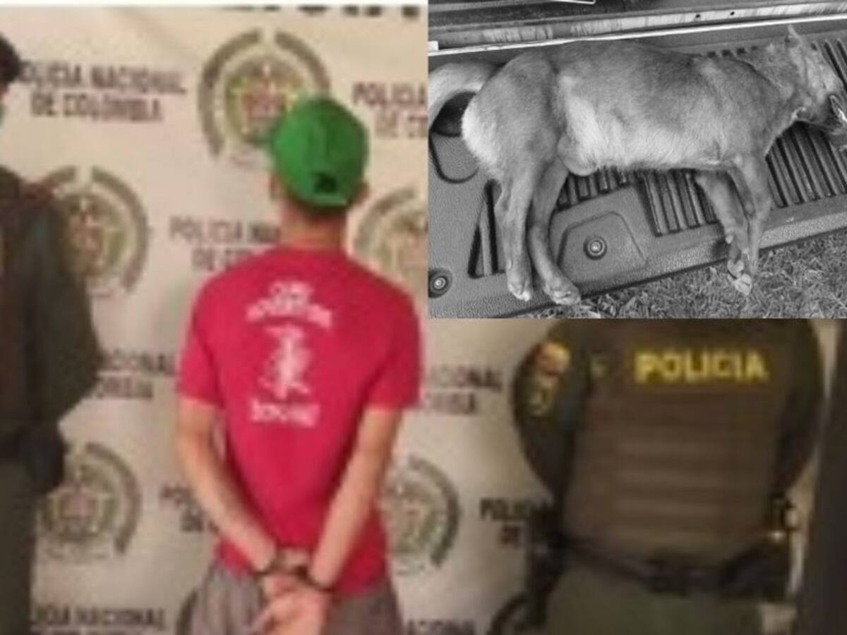 Un hombre fue capturado por caso de maltrato animal en Armenia