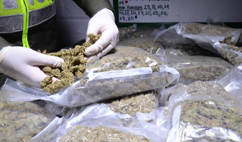 Imagen de referencia