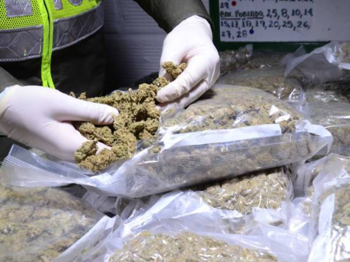 Naranjo propuso ante ONU nuevos métodos para medir lucha contra drogas
