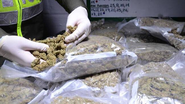 Imagen de referencia