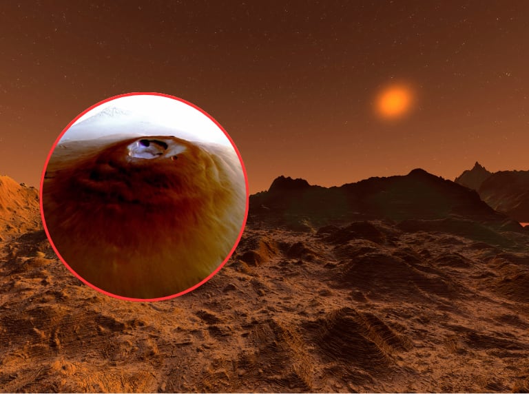 Imágenes de la escarcha encontrada en Marte (Getty Images /  Europa Press)