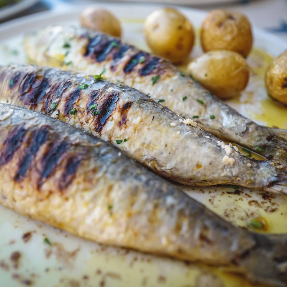 ¿Cuál es el pescado que más colágeno tiene? Así debe comerlo para eliminar arrugas profundas