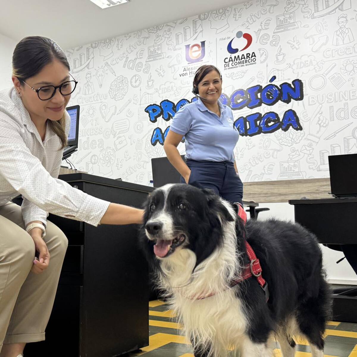 ‘Archie’, clave en estrategia de terapia asistida en la Von Humboldt de Armenia