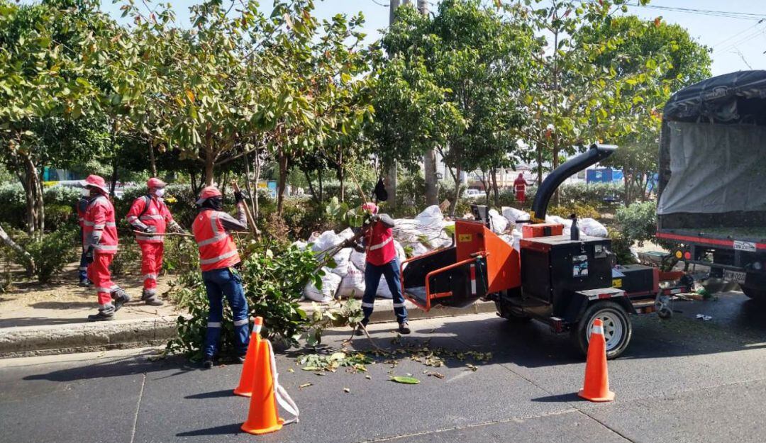 Veolia confirma que está comprometida con la sostenibilidad del ambiente de las comunidades y avenidas principales de su área de prestación