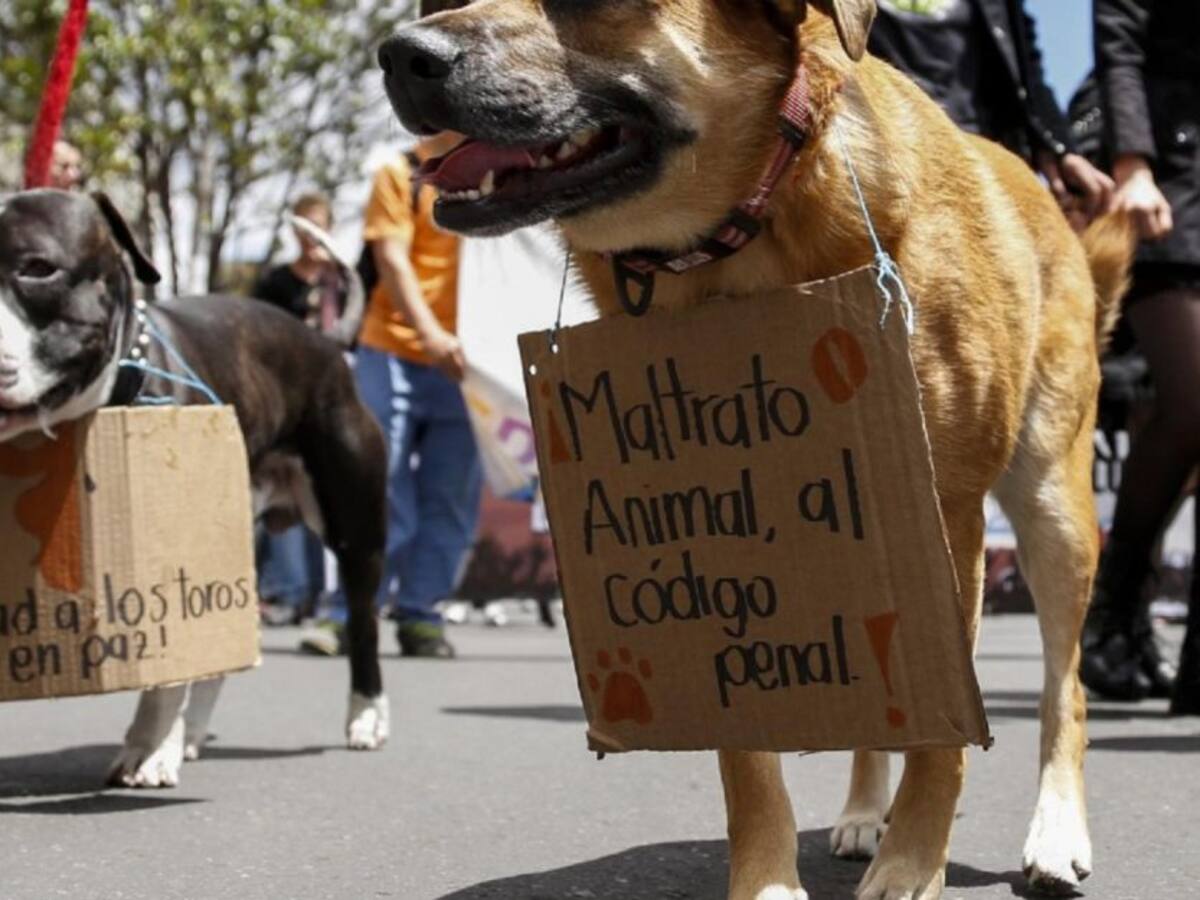 Un caso de maltrato animal se reportó en el Líbano, Tolima