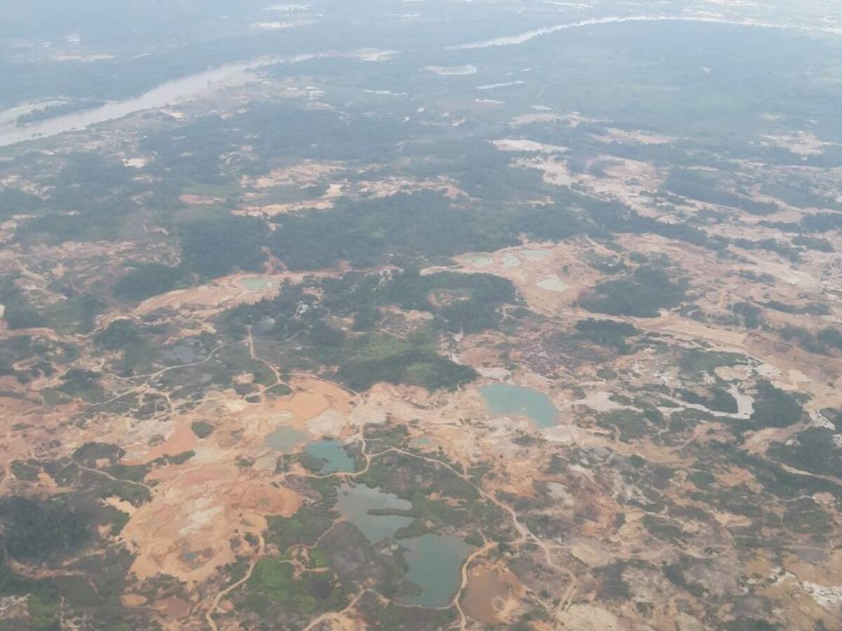 Minambiente y gobernación reforestarán mil hectáreas en el Bajo Cauca