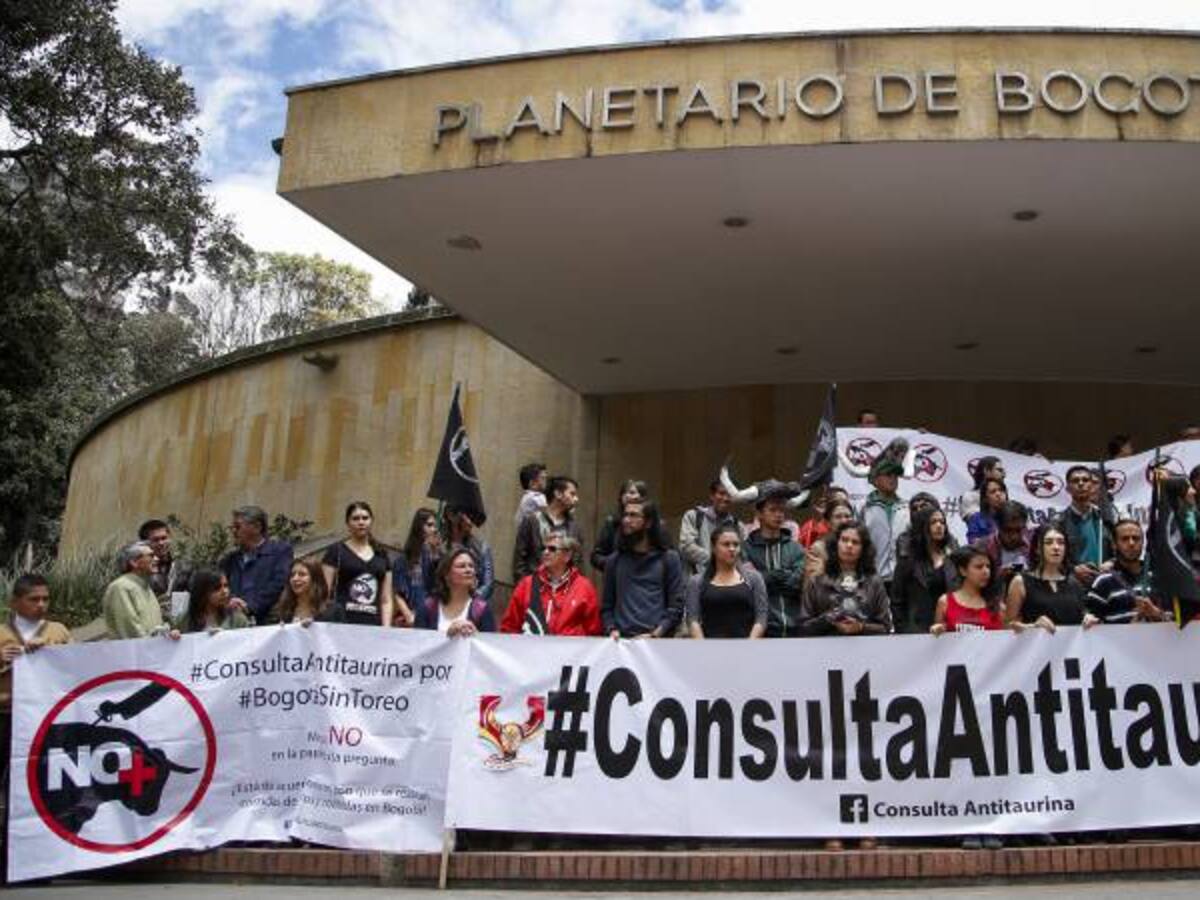 Distrito debe realizar licitación para contratar Consulta Taurina: contralor