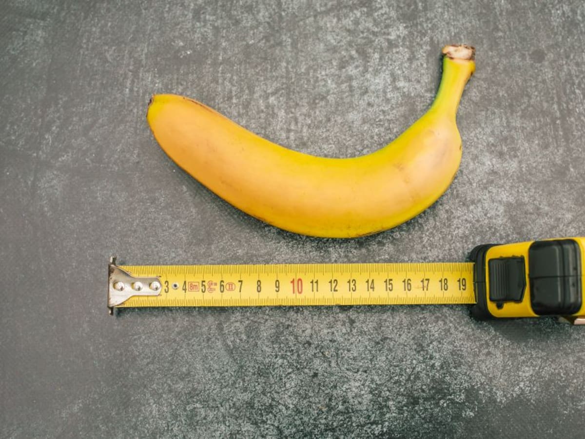 Experto explicó el motivo por el cual el tamaño del pene sí importa