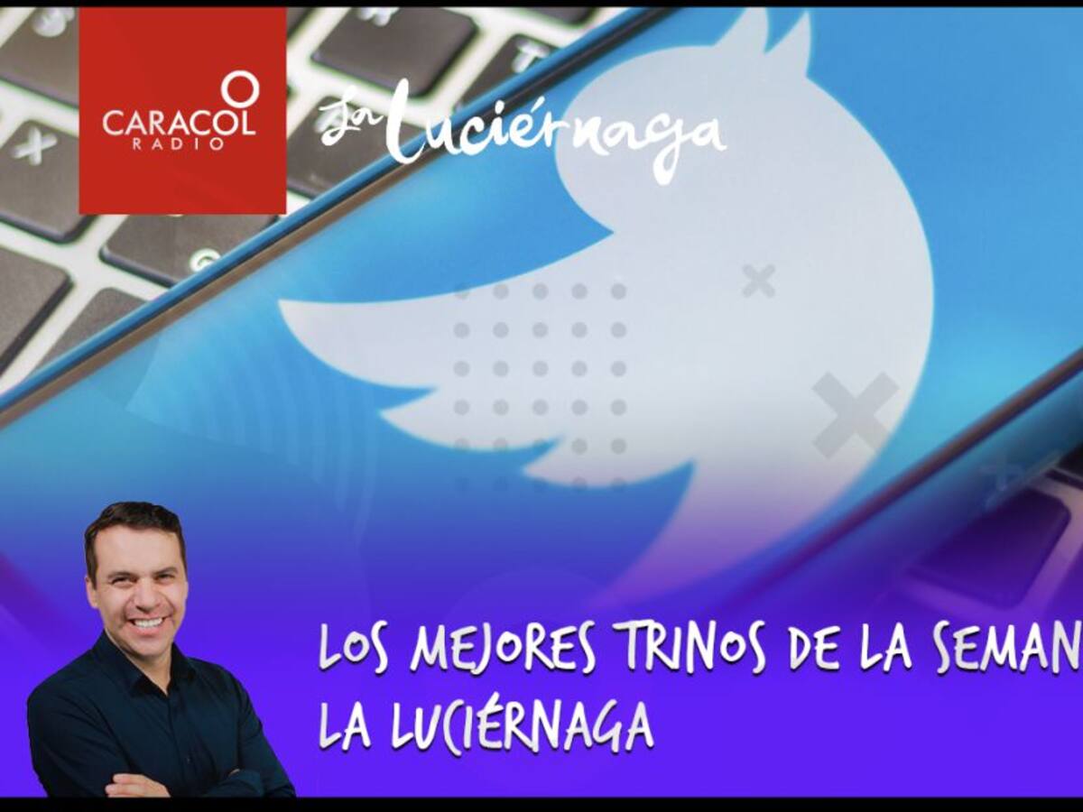 Los mejores trinos del fin de semana: La Luciérnaga