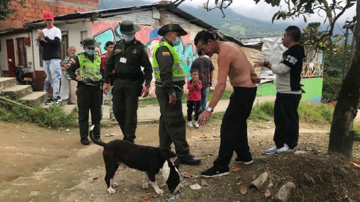 Maltrato perro en Calarcá, Quindío