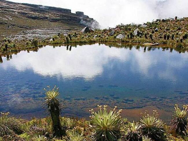 'Cátedra del agua', iniciativa para mostrar los daños de la minería