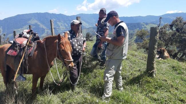 Acciones de investigación con la comunidad