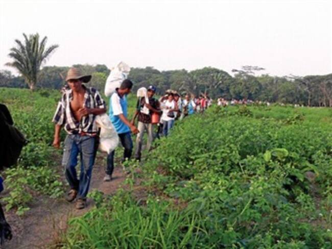 Organizaciones campesinas del país se suman al pedido de zona de reserva
