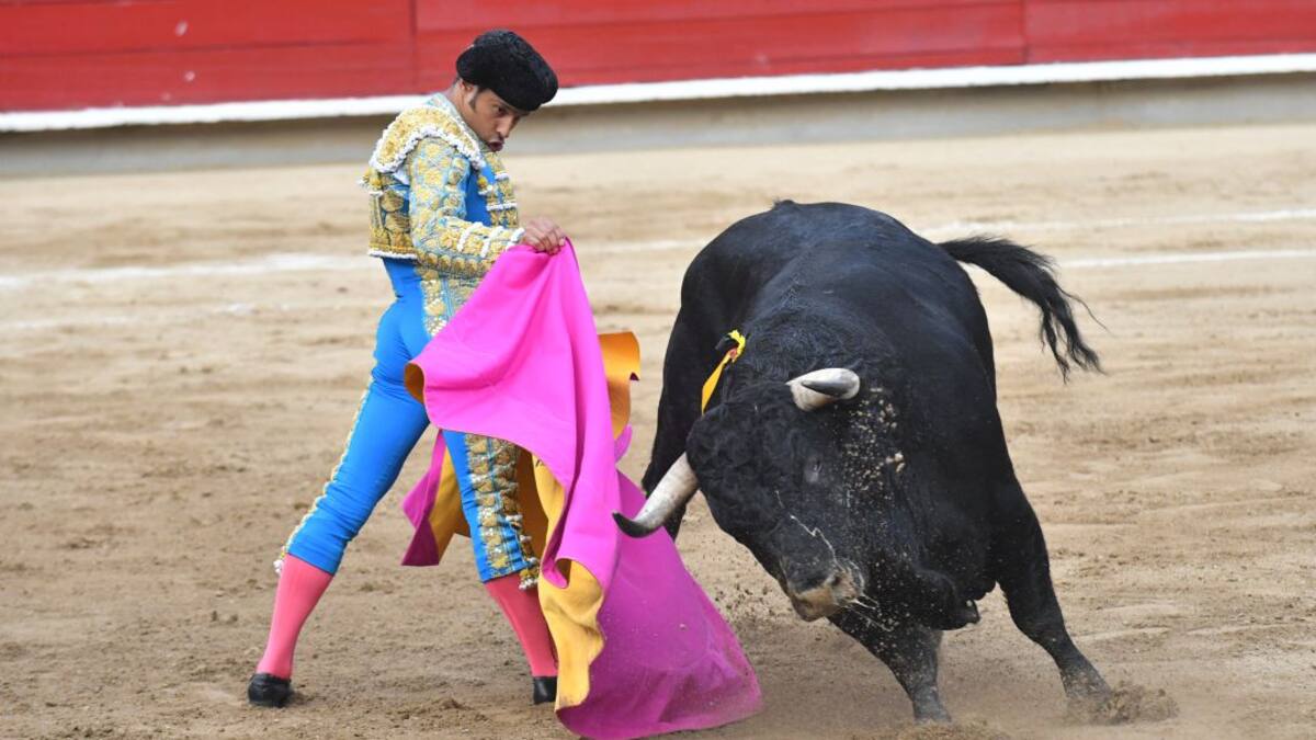 ¿En qué va el debate sobre las corridas de toros en Colombia? Congresistas responden